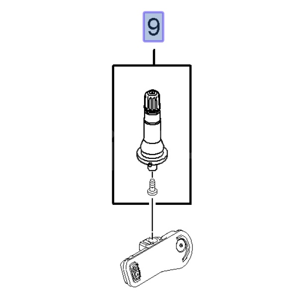 Zawór czujnika ciśnienia w oponie 95516992 (Movano B, Vivaro B)
